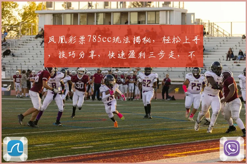 凤凰彩票785cc玩法揭秘，轻松上手，技巧分享，快速盈利三步走，不容错过