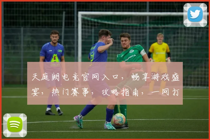 天庭阙电竞官网入口，畅享游戏盛宴，热门赛事，攻略指南，一网打尽，尽在天庭阙