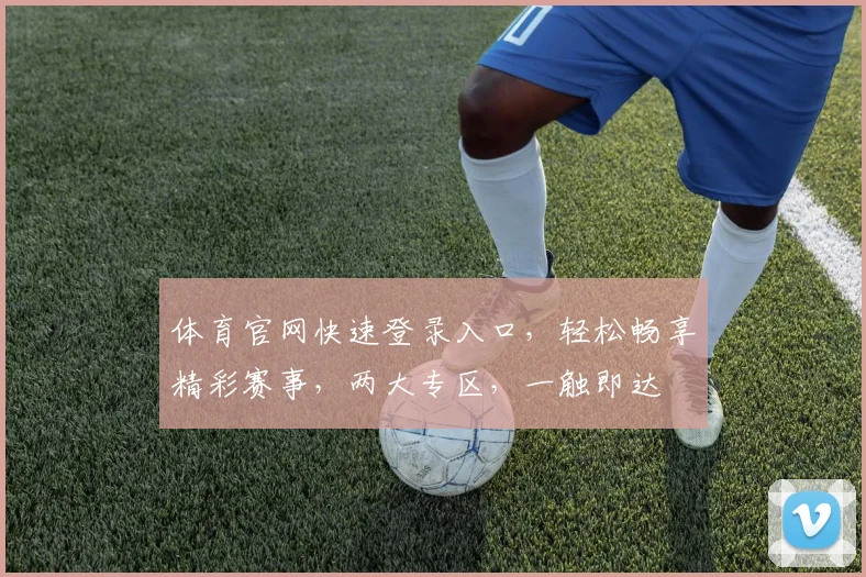 体育官网快速登录入口，轻松畅享精彩赛事，两大专区，一触即达