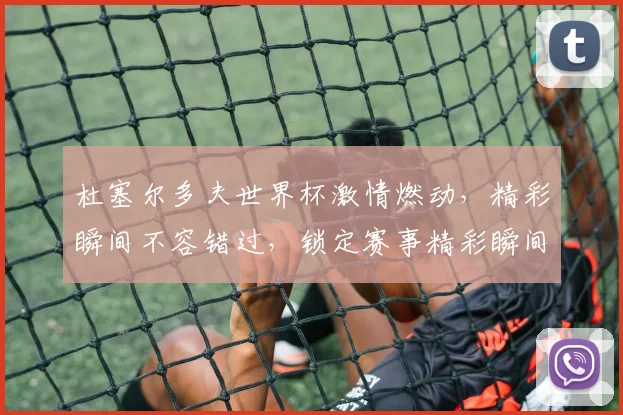 杜塞尔多夫世界杯激情燃动，精彩瞬间不容错过，锁定赛事精彩瞬间