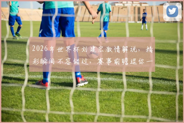 2026年世界杯刘建宏激情解说，精彩瞬间不容错过，赛事前瞻逗你一笑