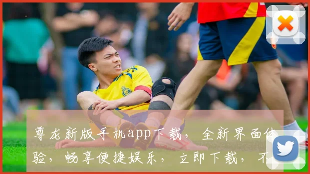 尊龙新版手机app下载，全新界面体验，畅享便捷娱乐，立即下载，不容错过