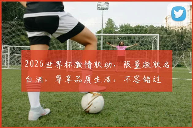 2026世界杯激情联动，限量版联名白酒，尊享品质生活，不容错过