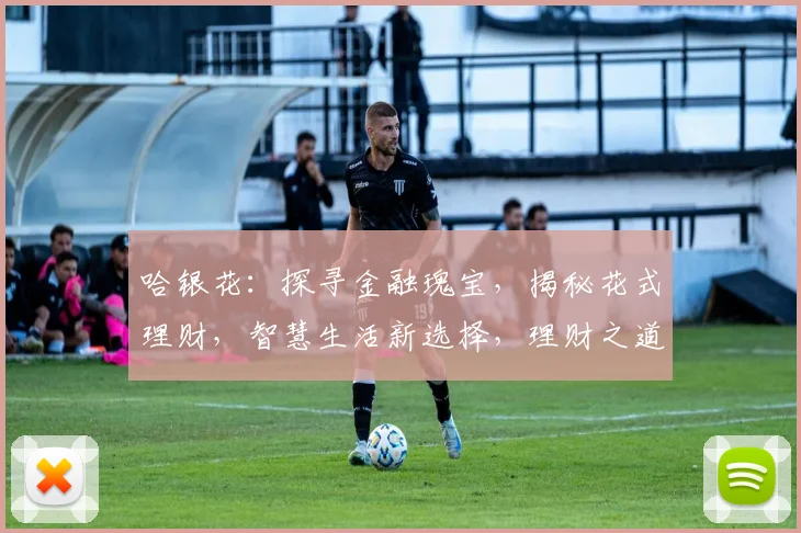 哈银花：探寻金融瑰宝，揭秘花式理财，智慧生活新选择，理财之道，您不容错过的秘密